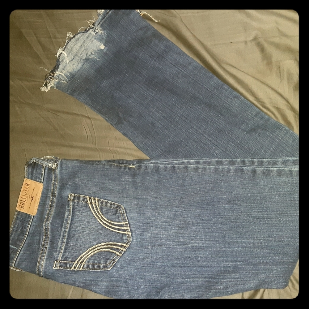 Hollister Flare